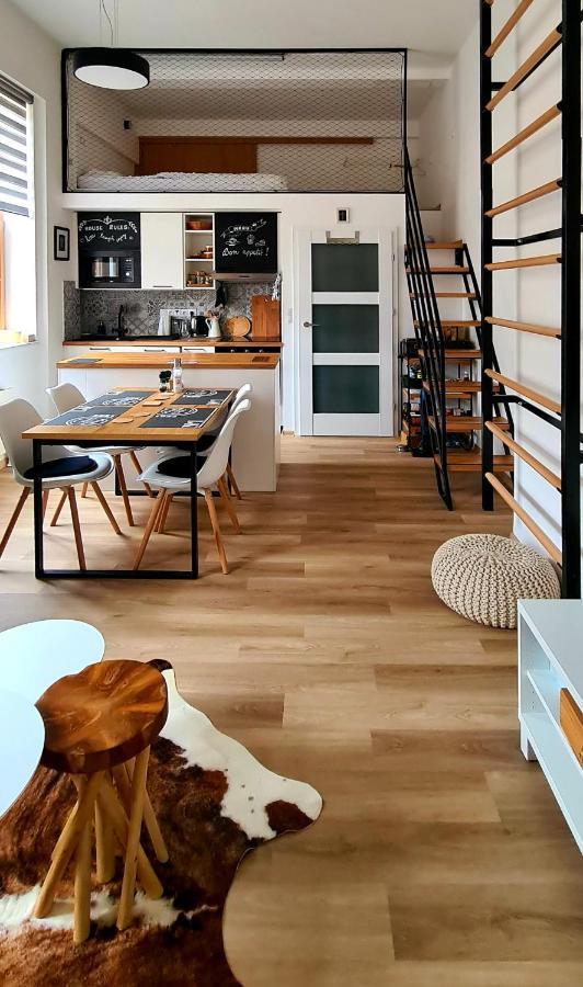 Loft Rezidence Kotel ロキトニツェ・ナト・イゼロウ エクステリア 写真